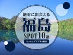 福島_出会い