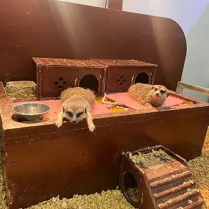 ユーザー