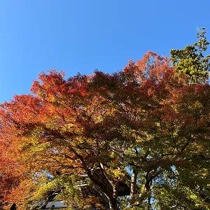 ユーザー